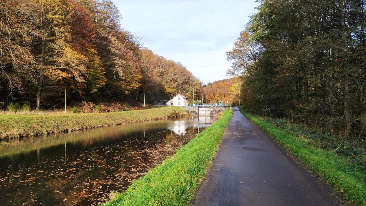 Spacieux Duplex Tout Confort A 200M Des Thermes De Bains-Les-Bains Dans Les Vosges المظهر الخارجي الصورة